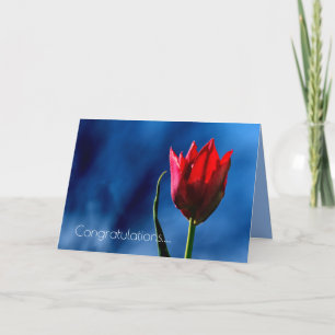 Rote Tulpe Herzlichen Glückwunsch zum Scheidungsta Karte