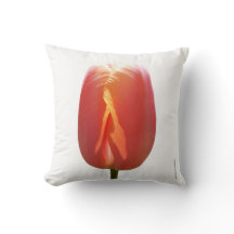 Rote Tulpe