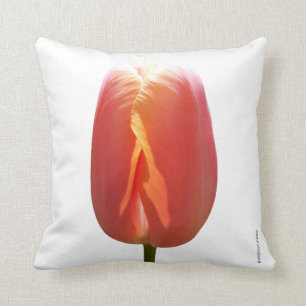 Rote Tulpe Kissen