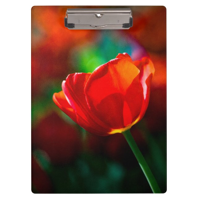 Rote Tulpe - Mysterium der Blüte Klemmbrett (Vorderseite)