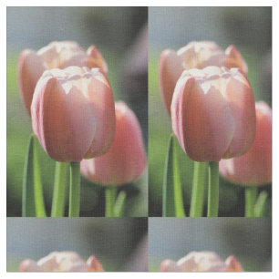 Rote Tulpe Stoff