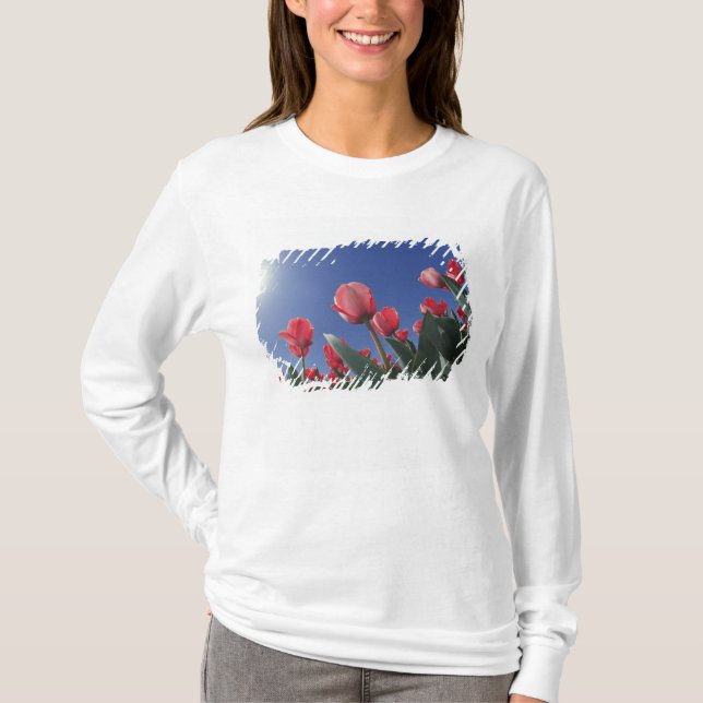 Rote Tulpen aus sehr geringem Winkel, Cincinnati, T-Shirt (Vorderseite)
