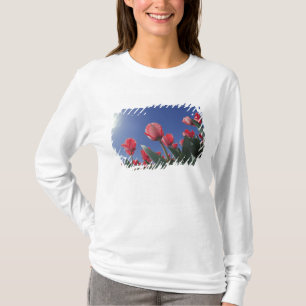 Rote Tulpen aus sehr niedriger Perspektive, Cincin T-Shirt