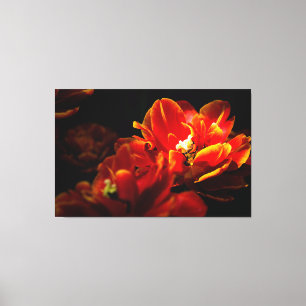Rote Tulpen dunkler Hintergrund Leinwanddruck