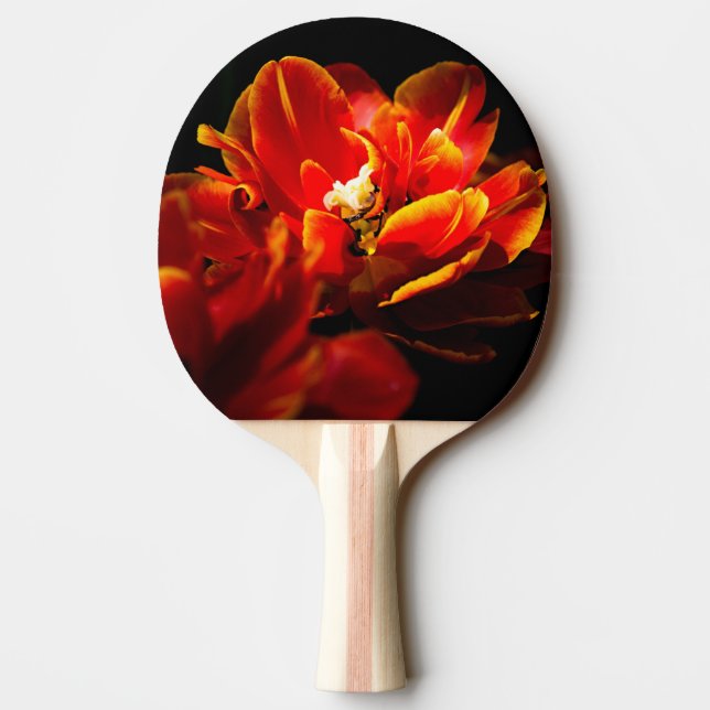 Rote Tulpen dunkler Hintergrund Tischtennis Schläger (Rückseite)
