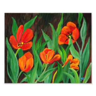 Rote Tulpen Fotodruck