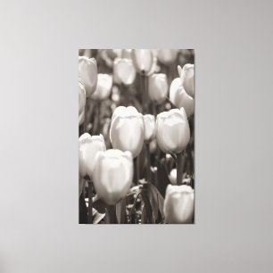 Rote Tulpen, fotografischer Ausdruck, Leinwand