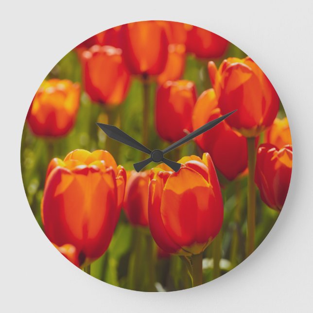 Rote Tulpen, fotografischer Druck. Foto drucken Große Wanduhr (Vorderseite)