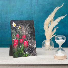 Rote Tulpen im Garten Fotoplatte