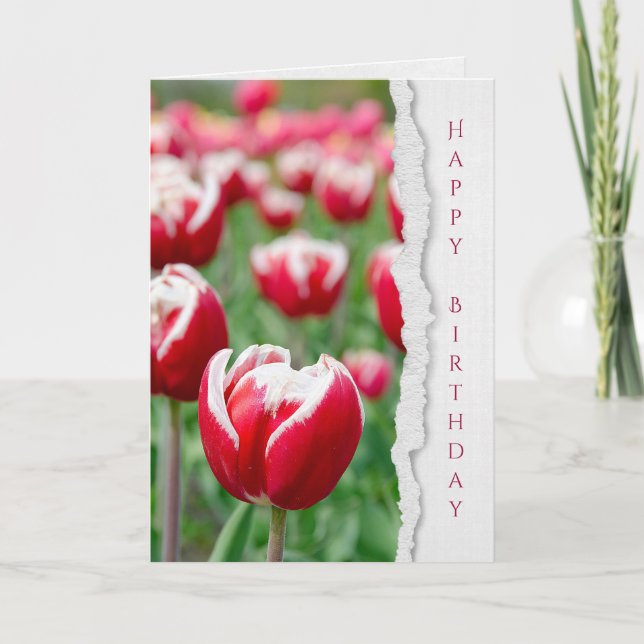 Rote Tulpen im Garten Geburtstag Karte (Vorderseite)
