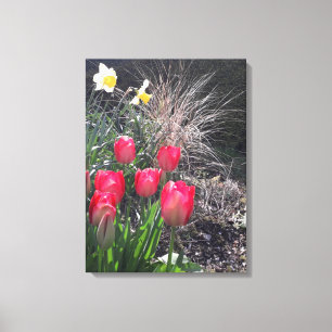 Rote Tulpen im Garten Leinwanddruck
