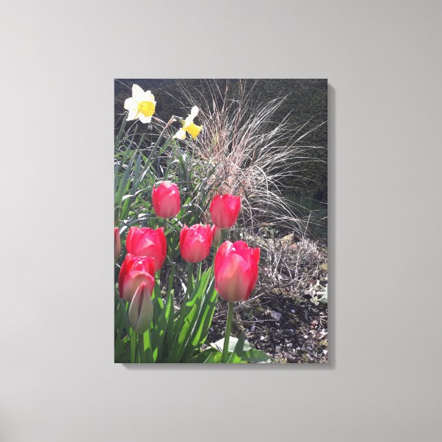 Rote Tulpen im Garten Leinwanddruck (Vorderseite)