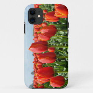 Rote Tulpen, iPhone 5 Abdeckung 11 Hülle
