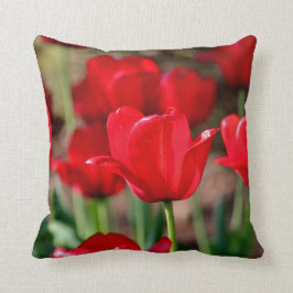 Rote Tulpen Kissen