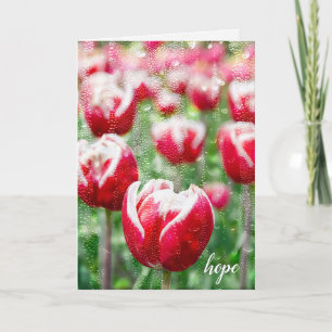 rote Tulpen mit Regentropfen auf Fensterscheibe Mi Karte