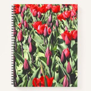 Rote Tulpen Notizbuch