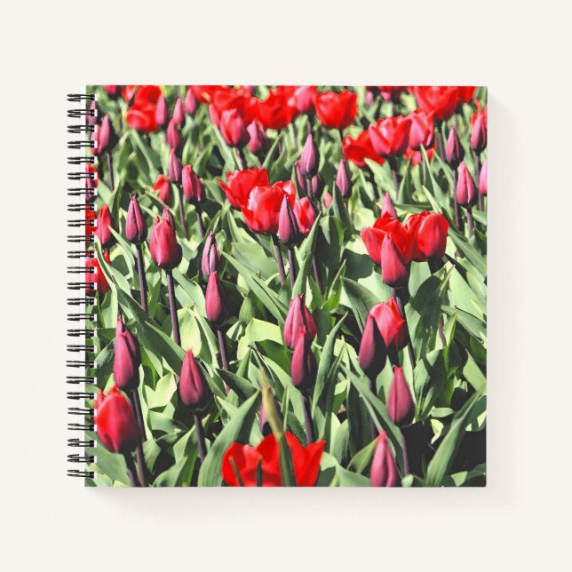 Rote Tulpen Notizbuch (Vorderseite)
