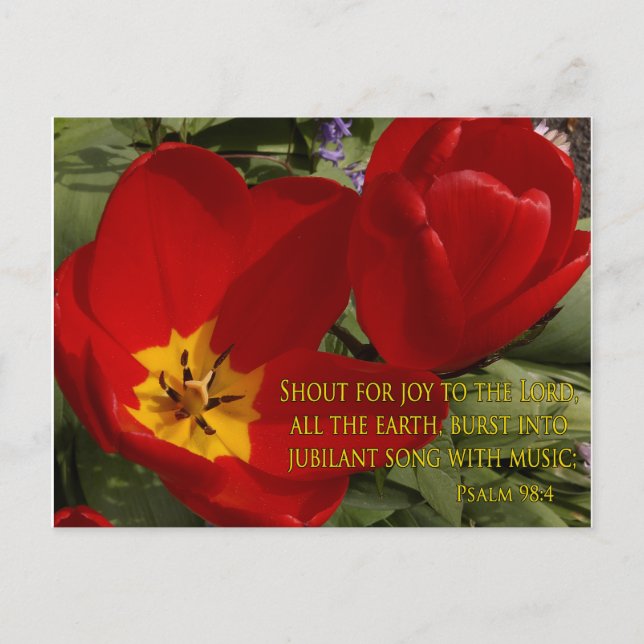 Rote Tulpen - Psalm 98:4 Postkarte (Vorderseite)