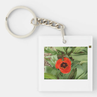 Rote Tulpen-Schlüsselanhänger Schlüsselanhänger