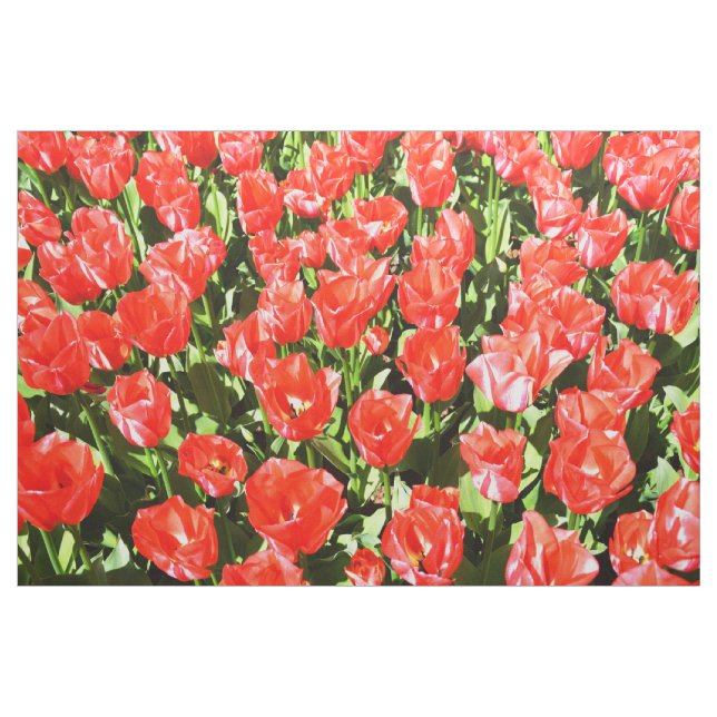 Rote Tulpen Stoff (Yard (91,4 cm))