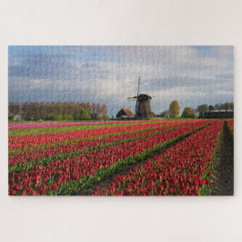 Rote Tulpen und eine Windmühle im Frühjahr