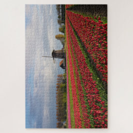Rote Tulpen und eine Windmühle im Frühjahr