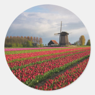 Rote Tulpen und eine Windmühle Runder Aufkleber