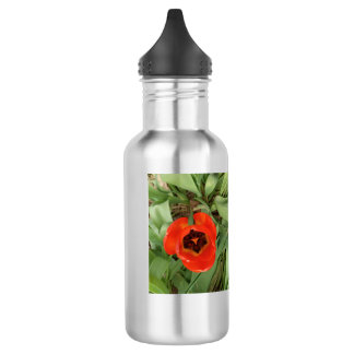 Rote Tulpen-Wasserflasche Edelstahlflasche