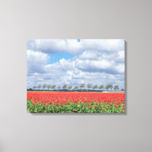 Rote Tulpenfelder zeigen Leinwand