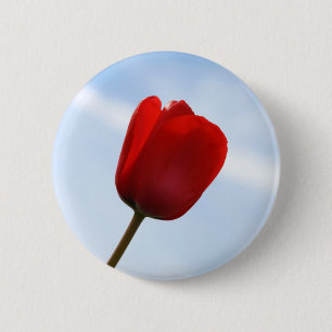 Rote Tulpenknospe Button