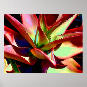 Rote u. grüne Agave Poster