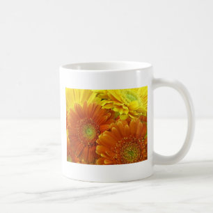 Rote und gelbe afrikanische Gänseblümchen Kaffeetasse