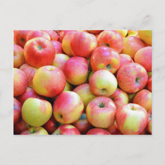 Rote und gelbe Äpfel, frisch Postkarte