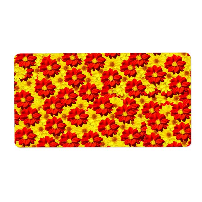 Rote und gelbe Dahlien-Blume (Vorne)