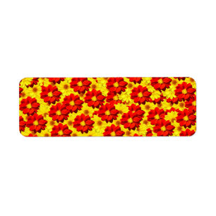 Rote und gelbe Dahlien-Blume