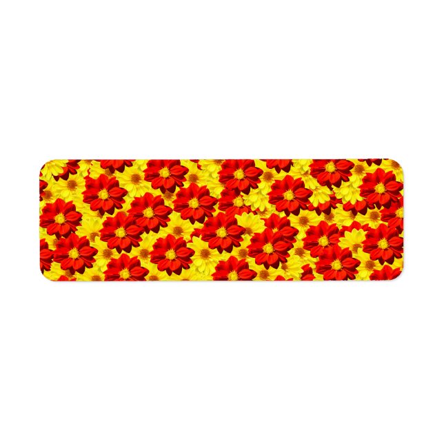Rote und gelbe Dahlien-Blume (Vorne)