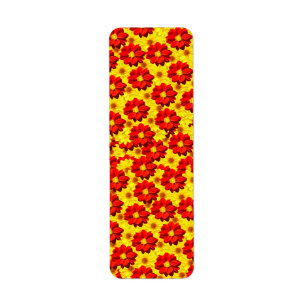 Rote und gelbe Dahlien-Blume