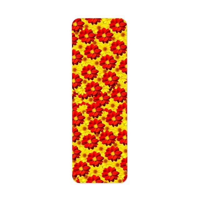 Rote und gelbe Dahlien-Blume (Vorne)