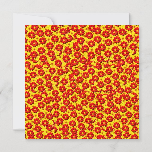 Rote und gelbe Dahlien-Blume (Vorderseite)