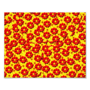 Rote und gelbe Dahlien-Blume Fotodruck