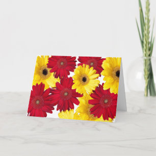 Rote und gelbe Gerber-Daisy-Fotos Personalisiert Karte