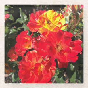 Rote und Gelbe Rosen, Portland, Oregon Glasuntersetzer