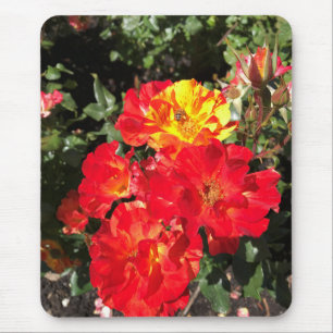 Rote und Gelbe Rosen, Portland, Oregon Mousepad