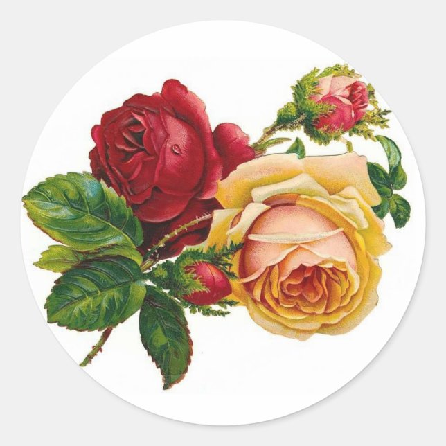 Rote und Gelbe Rosen Runder Aufkleber (Vorderseite)