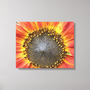 Rote und gelbe Sonnenblumen-Leinwanddruck Leinwanddruck