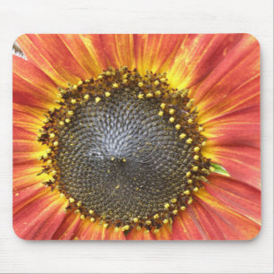 Rote und gelbe Sonnenblumenmousepad Mousepad