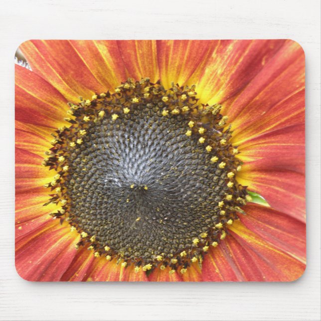 Rote und gelbe Sonnenblumenmousepad Mousepad (Vorne)