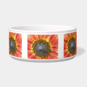 Rote und gelbe Sonnenblumenschale Napf