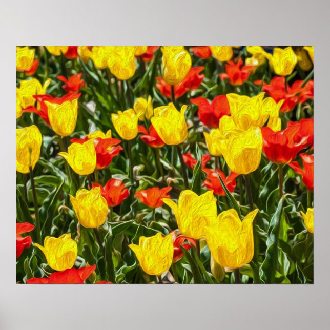 Rote und gelbe Tulissen Poster (Vorne)