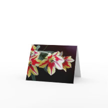 Rote und gelbe Tulpe-Anmerkungs-Karte